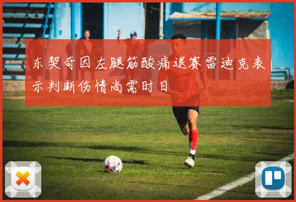 东契奇因左腿筋酸痛退赛雷迪克表示判断伤情尚需时日