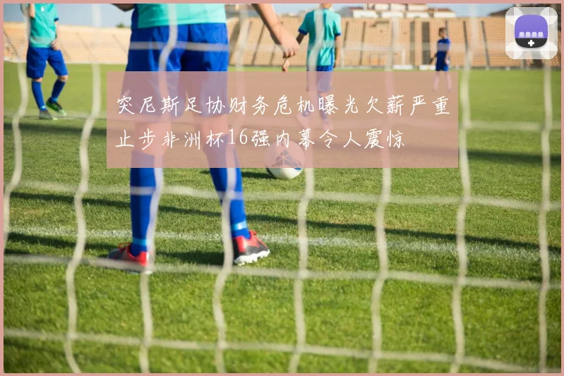 突尼斯足协财务危机曝光欠薪严重止步非洲杯16强内幕令人震惊